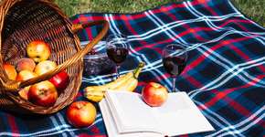 Chegou a primavera! Dicas para aproveitar a estação com um bom vinho