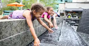 Foto: (Imagem sem texto alternativo disponivel ID [1609568])