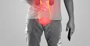 Foto: (iSTock/Tharakorn)