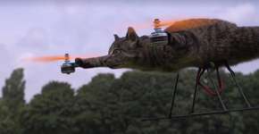 Dono transforma gato morto em drone