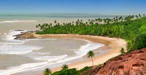 Voos para 2ª quinzena de janeiro estão até 23% mais baratos