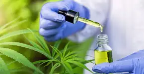 Anvisa autoriza venda de remédios à base de Cannabis em farmácias