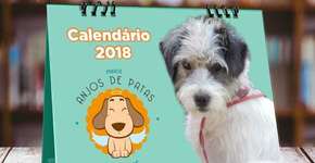 Foto: (Imagem sem texto alternativo disponivel ID [1894424])