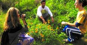 Foto: (Imagem sem texto alternativo disponivel ID [1857506])