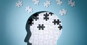 Algumas ervas são grande auxiliadoras da memória; saiba como elas melhoram a sua saúde cerebral