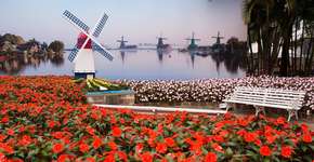 Expoflora, em Holambra, vende ingressos promocionais a R$ 23