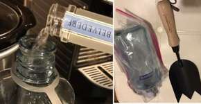 Foto: (Imagem sem texto alternativo disponivel ID [1488773])