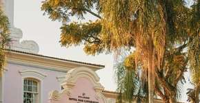 Foto: (Divulgação)