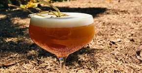 Drinque do Atacama tem erva chamada de ‘viagra’ do deserto