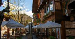 Foto: (Divulgação)