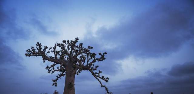 Exposição ‘Entre o Aiyê e o Orun’