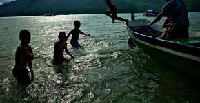 Encontro entre o mar e a floresta no litoral fluminense