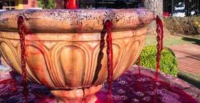 Foto: (divulgação)