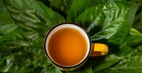 Foto: (AngelaMacario/istock)