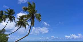 Foto: (Andreas Giannakis/iStock)