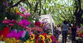 12 feirinhas de rua para ficar de olho em BH