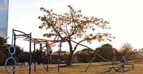 Foto: (Imagem sem texto alternativo disponivel ID [86299])