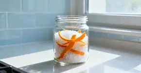 Cascas de laranja com sal grosso descubra para que serve colocar essa mistura em um potinho dentro de casa