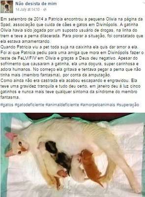 Página conta a história dos animais (Imagem: Reprodução/Facebook)