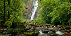 Foto: (José Paiva/Fundação Grupo Boticário)