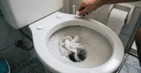 Foto: (Imagem sem texto alternativo disponivel ID [2770510])