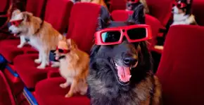 Foto: (Imagem sem texto alternativo disponivel ID [1903486])