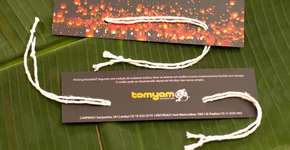 Ano Novo Tailandês: ritual e comida típica a R$ 15