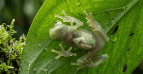 Foto: (Imagem sem texto alternativo disponivel ID [2743692])