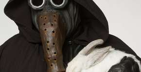 No Canadá, ‘vilões de Star Wars’ incentivam a adoção de animais