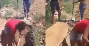 Foto: (Imagem sem texto alternativo disponivel ID [2151238])