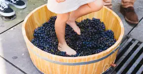 Leitor VilaMundo tem 15% off em compra de degustação de vinho