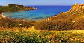 Foto: (Imagem sem texto alternativo disponivel ID [1394322])