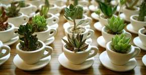 Ideias para uma decoração de casamento sustentável e barata