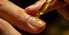 Foto: (Imagem sem texto alternativo disponivel ID [2706177])