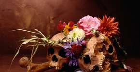 “Miro – Um fotógrafo no século XVII” em exposição gratuita na FASS