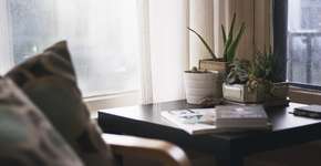 O que uma casa cheia de plantas pode revelar sobre quem mora nela