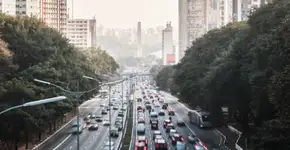 Greve dos caminhoneiros diminui pela metade poluição de SP