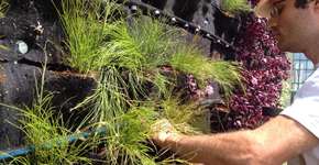 Foto: (Imagem sem texto alternativo disponivel ID [567678])