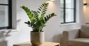 Foto: (Imagem sem texto alternativo disponivel ID [2676591])