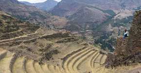 Foto: (Imagem sem texto alternativo disponivel ID [1869177])