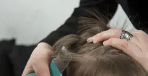 Foto: (Imagem sem texto alternativo disponivel ID [1606630])