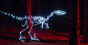 Foto: (Imagem sem texto alternativo disponivel ID [826722])