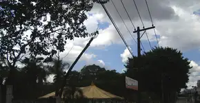 Foto: (Imagem sem texto alternativo disponivel ID [1863225])