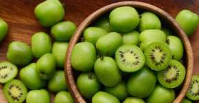 Comer kiwi pode melhorar o humor em poucos dias, aponta estudo neozelandês