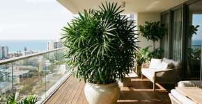 Foto: (Imagem sem texto alternativo disponivel ID [2787552])