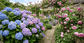 Foto: (Imagem sem texto alternativo disponivel ID [2770236])