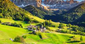 Foto: (Janoka82/iStock)