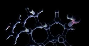 Foto: (theasis/istock)