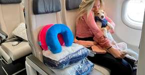 Viagem com pet: de reserva da passagem a rolê na roda-gigante