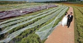 Foto: (Imagem sem texto alternativo disponivel ID [720625])